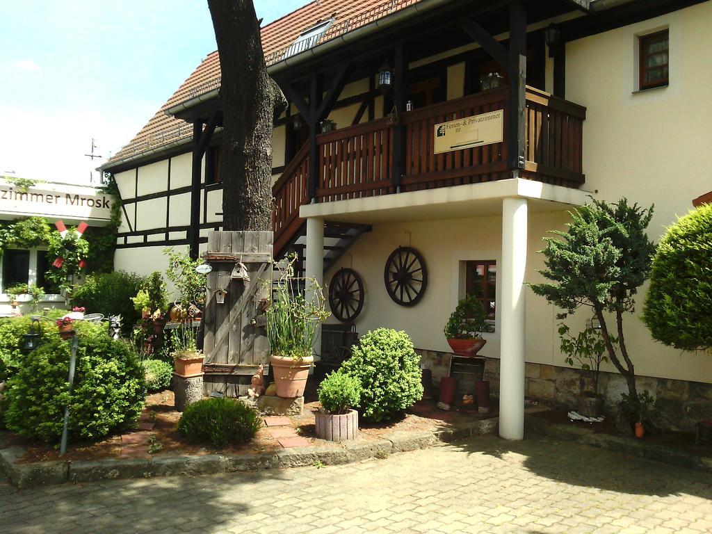 Hotel Alttolkewitzer Ferien- & Privatzimmer Mrosk Dresde Exterior foto