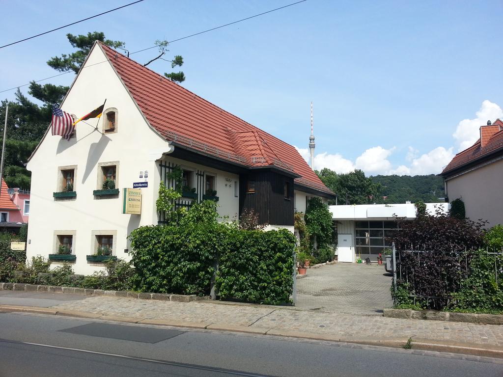 Hotel Alttolkewitzer Ferien- & Privatzimmer Mrosk Dresde Habitación foto